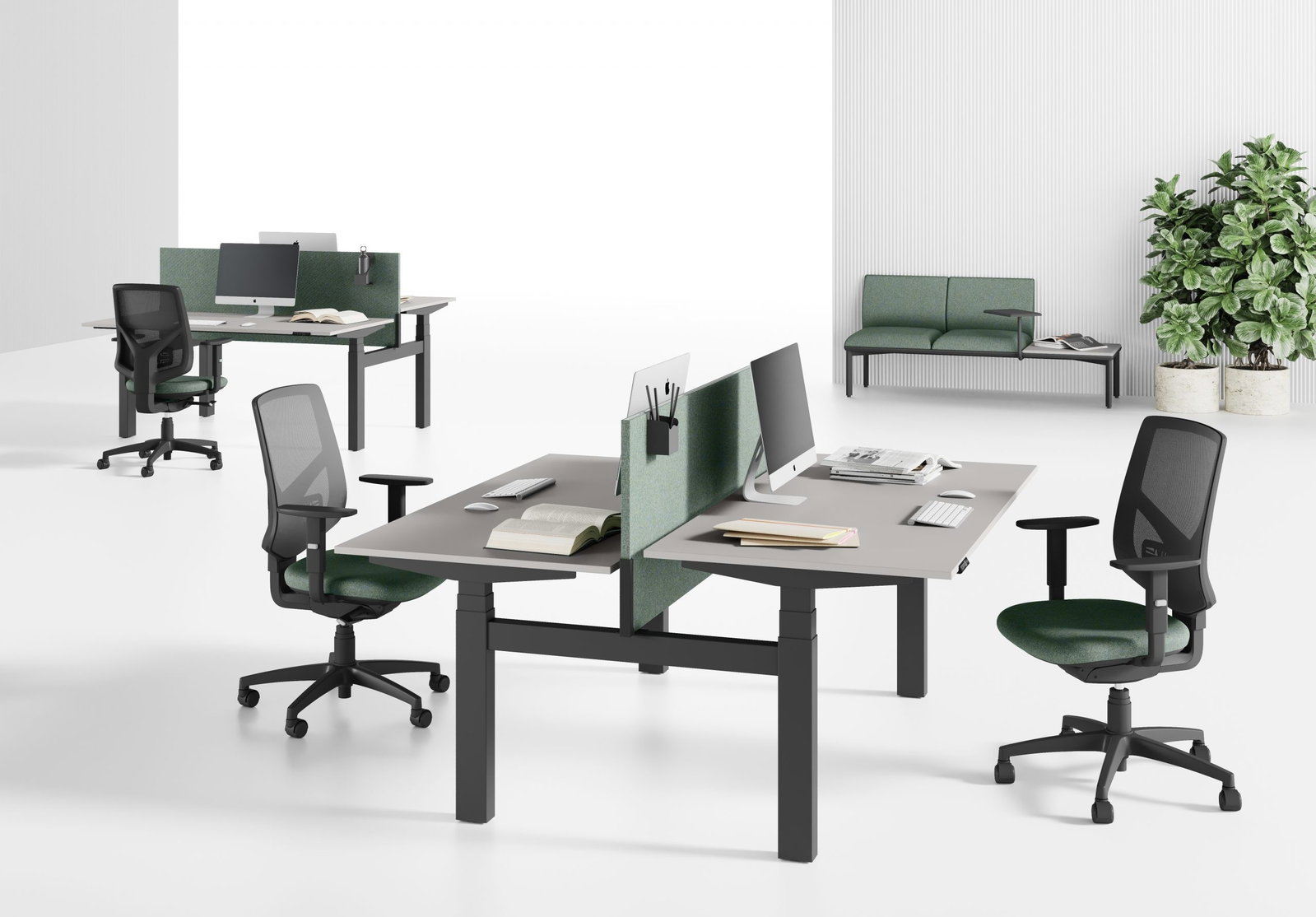 Bench basic con altezza regolabile